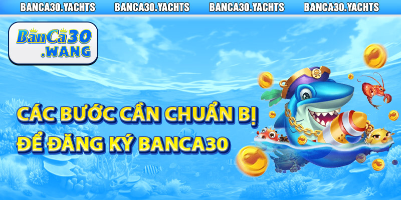 Các bước cần chuẩn bị để đăng ký Banca30