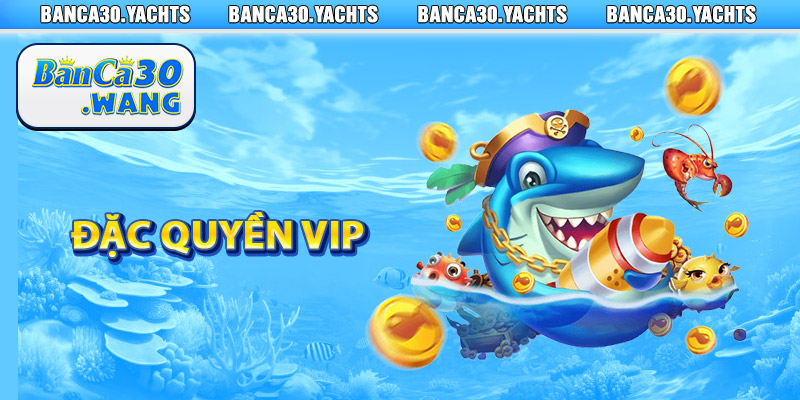 Đặc quyền VIP