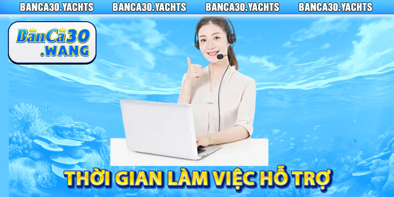 Thời gian làm việc hỗ trợ